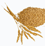 wheat